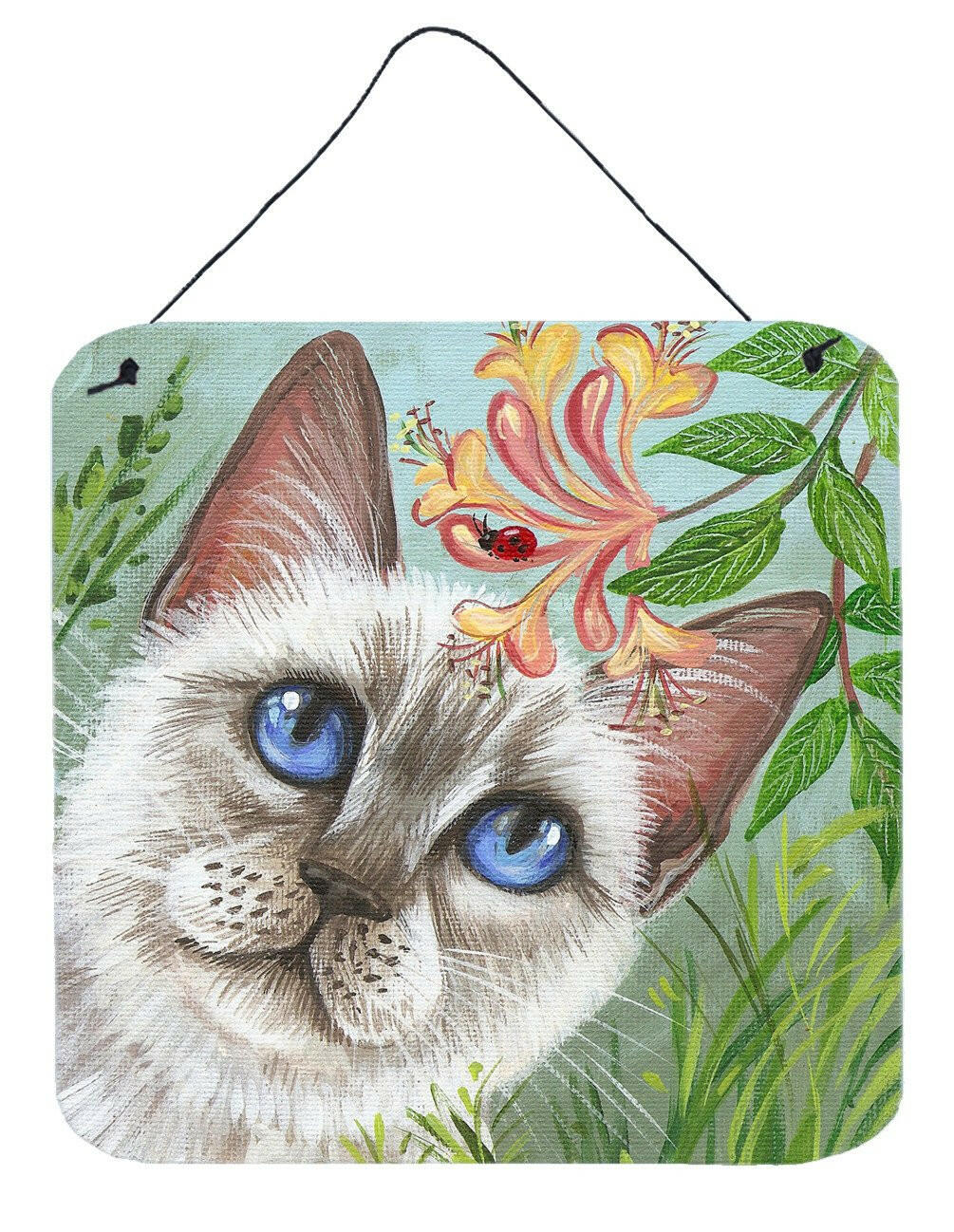 White Cat Saphire Eyes Wall or Door Hanging Prints Aluminum Metal Sign Kitchen Wall Bar Bathroom Plaque Home Decor, 6x6, Multicolor