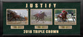 Mike Smith & Justify 2018 Triple Crown Winner Framed and Matted Horse Racing Collage