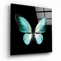 Turquoise Wings On Black Butterfly Glass Wall Art