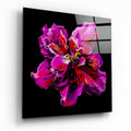 Magenta Painted Bloom Glass Wall Art