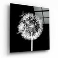 White Dandelion Black Square Glass Wall Art