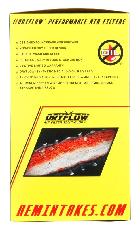 AEM Induction DryFlow Air Filter AIP21-2038DK