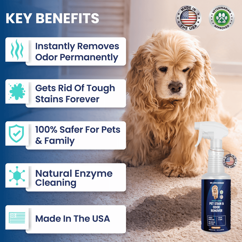 Pet Stain Remover