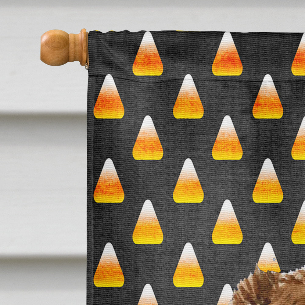 Australian Shepherd Candy Corn Halloween Portrait House Flag 28x40 Porch Sleeve Pole Decorative Outside Yard Banner Artwork Wall Hanging, Polyester