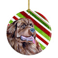 Newfoundland Candy Cane Holiday Christmas Ceramic Ornament Christmas Tree Hanging Decorations for Home Christmas Holiday, Party, Gift, 3 in, Multicolor
