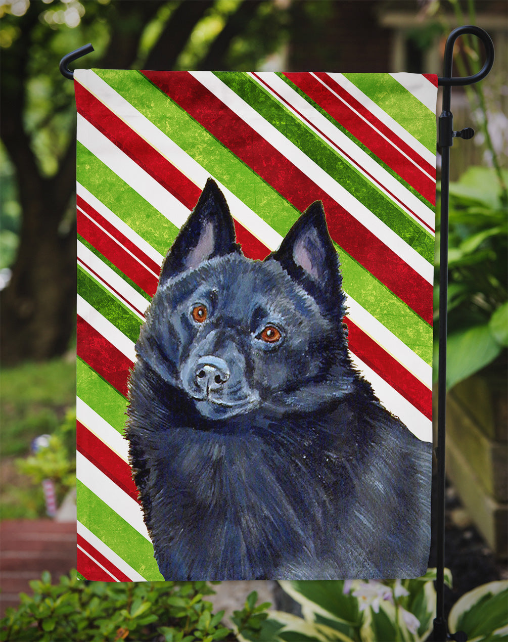 Schipperke Candy Cane Holiday Christmas Garden Flag Mailbox Decorative Yard Banner Outside Patio Artwork for Flower Beds, Garden Size, Multicolor