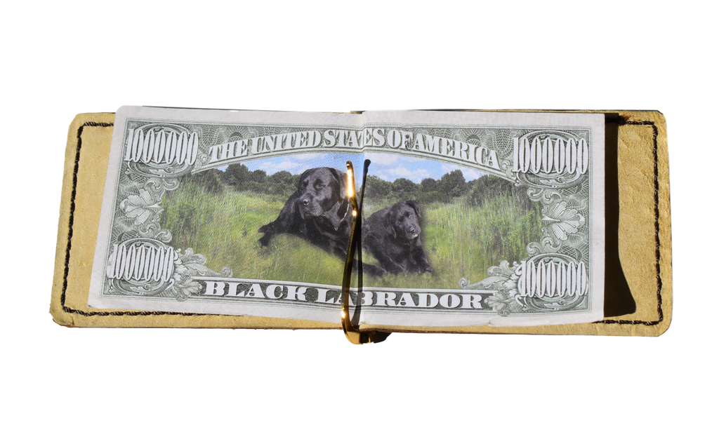 Leather Money Clip and Cardholder