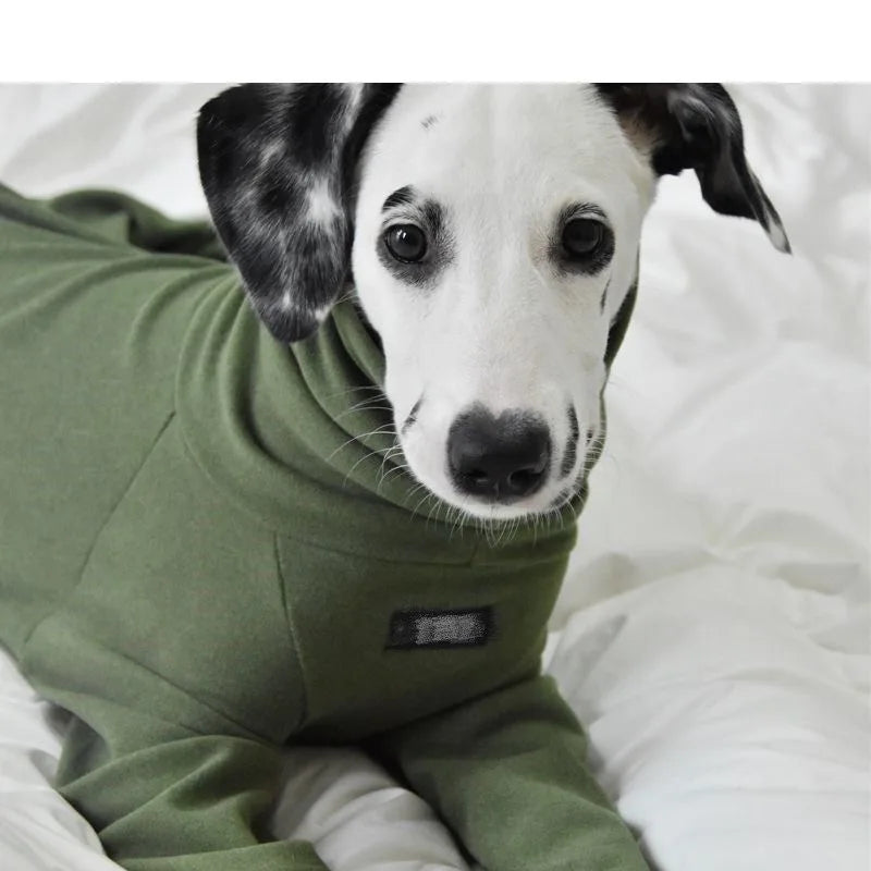 Luxury Winter Whippet Jammies