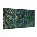 Aerial Forest Winding Road Glass Wall Art