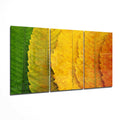 Green To Orange Leaf Gradient Glass Wall Art