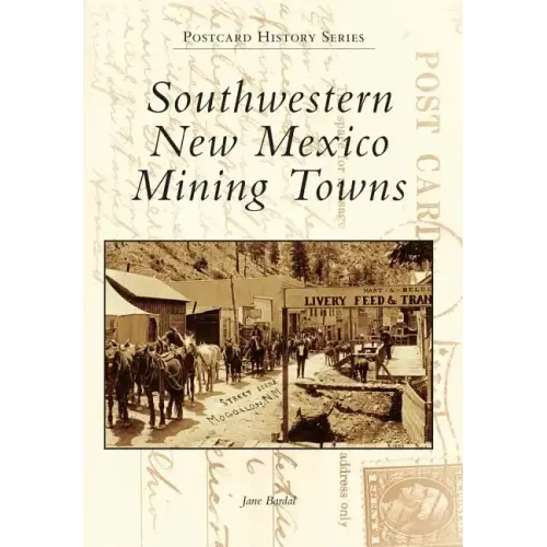 Southwestern New Mexico Mining Towns - Paperback
