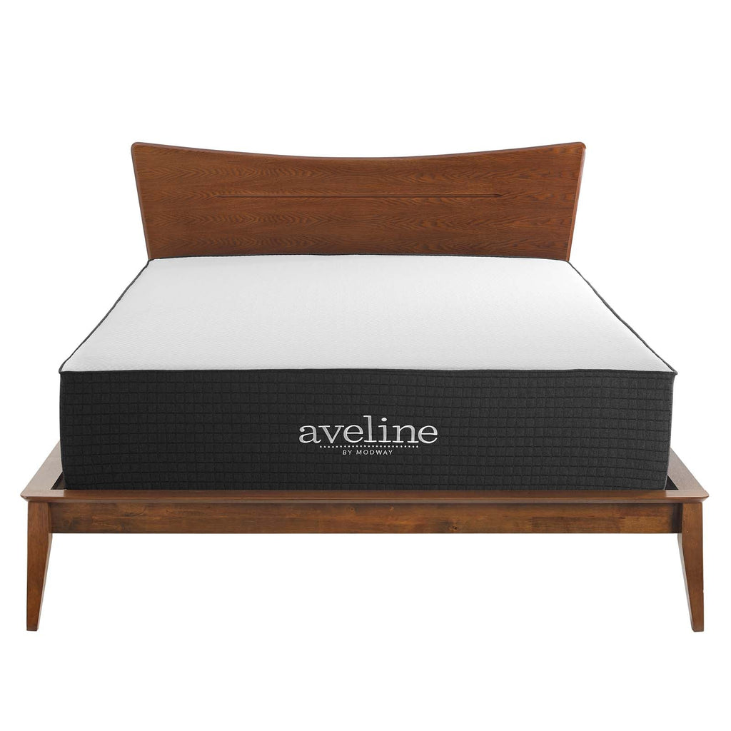 Aveline 14" Memory Foam Twin Mattress by Modway