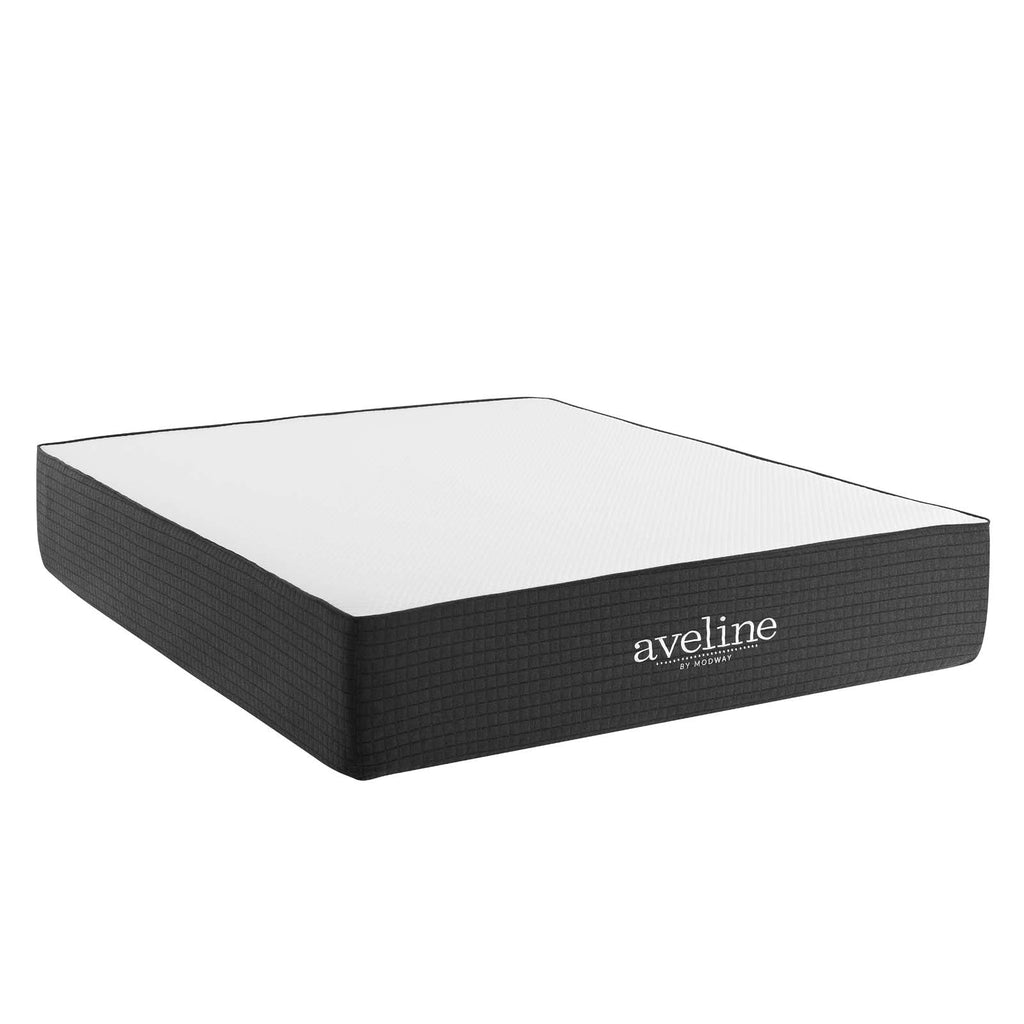 Aveline 14" Memory Foam Full Mattress by Modway