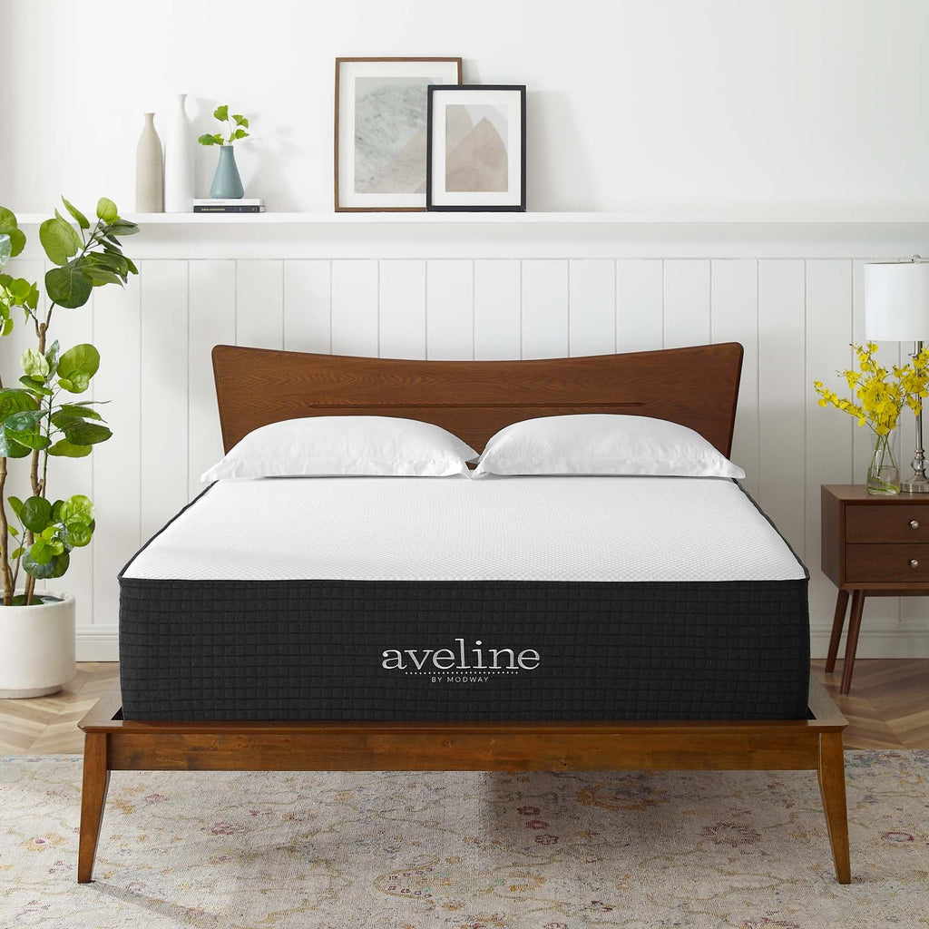 Aveline 16" Memory Foam Full Mattress by Modway