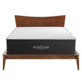 Aveline 16" Memory Foam Queen Mattress by Modway