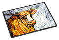 Bully Doormat Indoor Outdoor 18H X 27W Front Door Mat Rugs for Entryway, Non Slip Washable