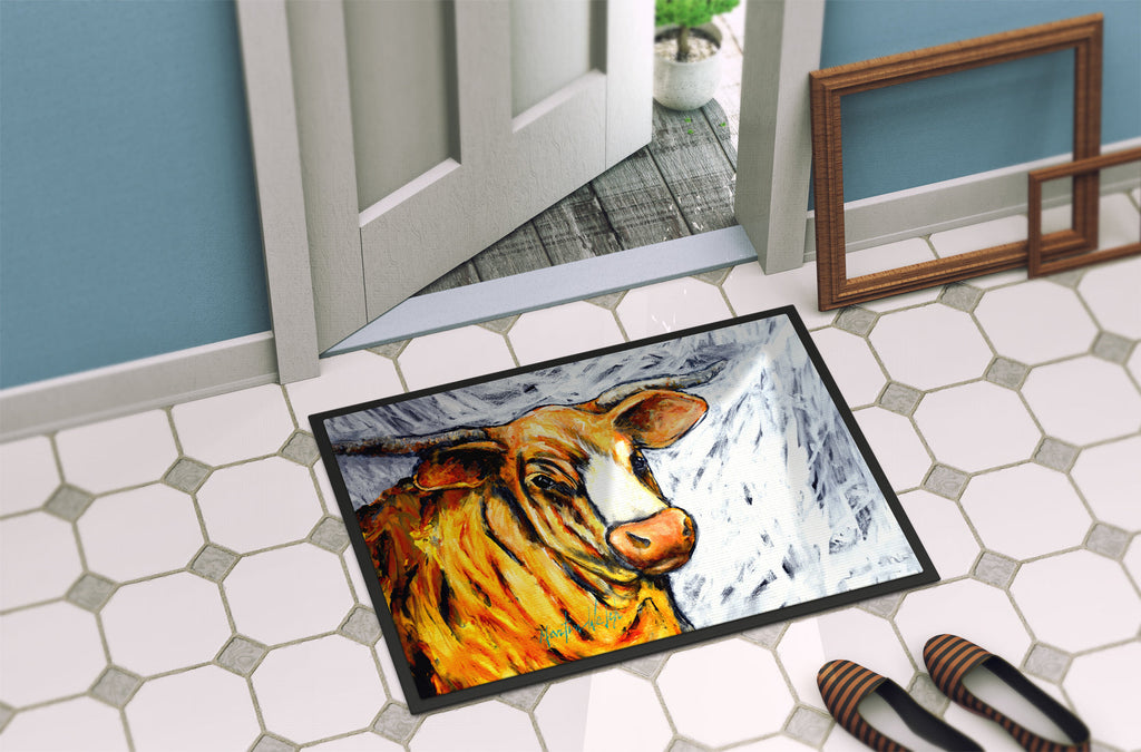 Bully Doormat Indoor Outdoor 18H X 27W Front Door Mat Rugs for Entryway, Non Slip Washable