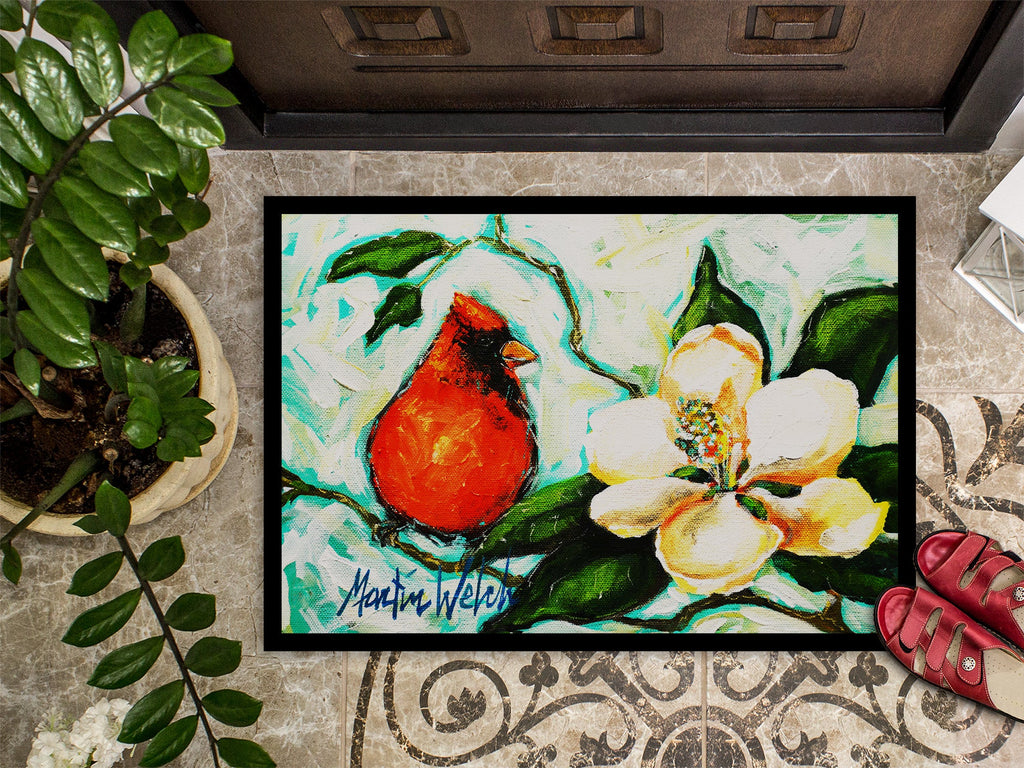 Cardinal Aqua Doormat Indoor Outdoor 24H X 36W Front Door Mat Rugs for Entryway, Non Slip Washable Low Pile,