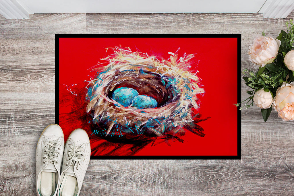Egg-Stra Special Bird Nest Doormat Indoor Outdoor 18H X 27W Front Door Mat Rugs for Entryway, Non Slip Washable