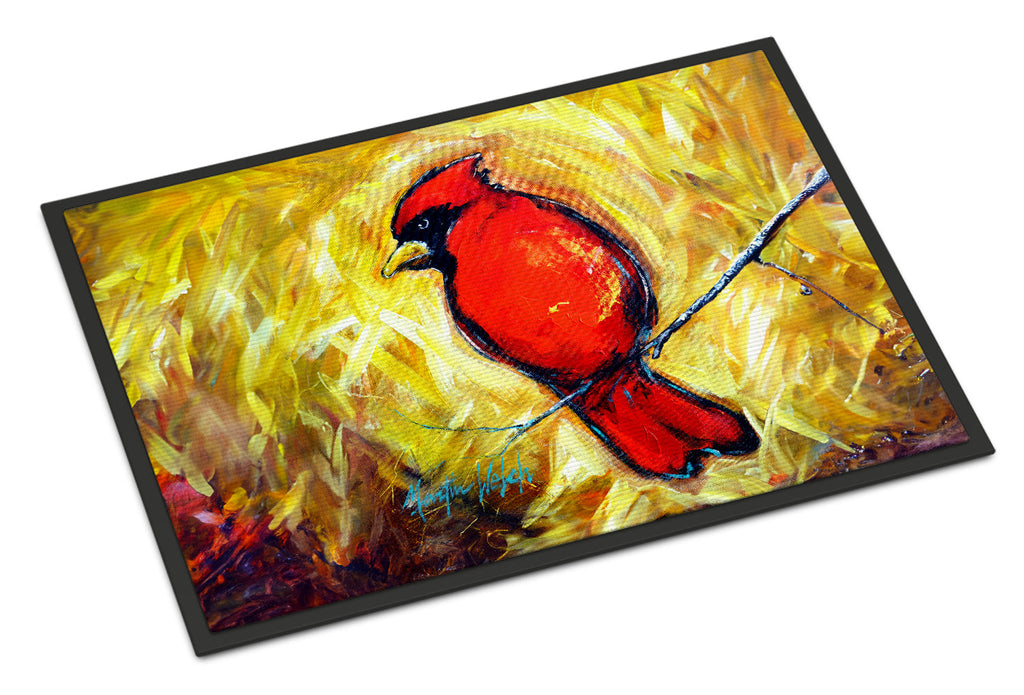 Sha Red Baba Bird Doormat Indoor Outdoor 24H X 36W Front Door Mat Rugs for Entryway, Non Slip Washable Low Pile,