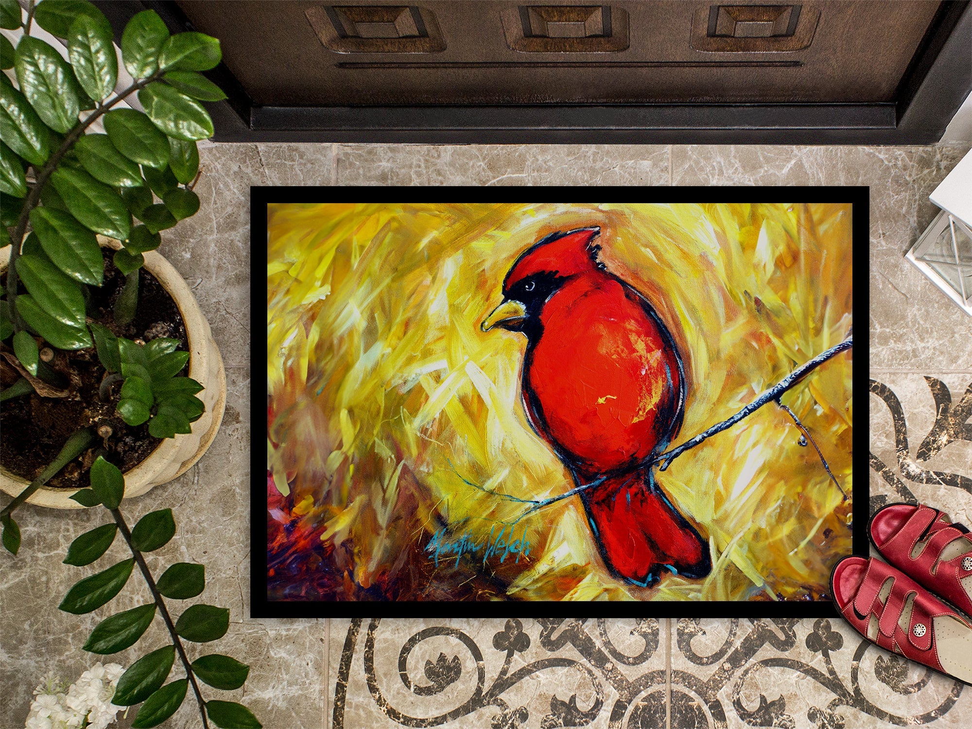 Sha Red Baba Bird Doormat Indoor Outdoor 24H X 36W Front Door Mat Rugs for Entryway, Non Slip Washable Low Pile,