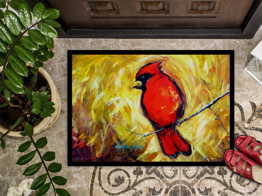 Sha Red Baba Bird Doormat Indoor Outdoor 18H X 27W Front Door Mat Rugs for Entryway, Non Slip Washable