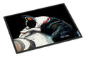 Boston Terrier Spot In The Sun Doormat Indoor Outdoor 18H X 27W Front Door Mat Rugs for Entryway, Non Slip Washable