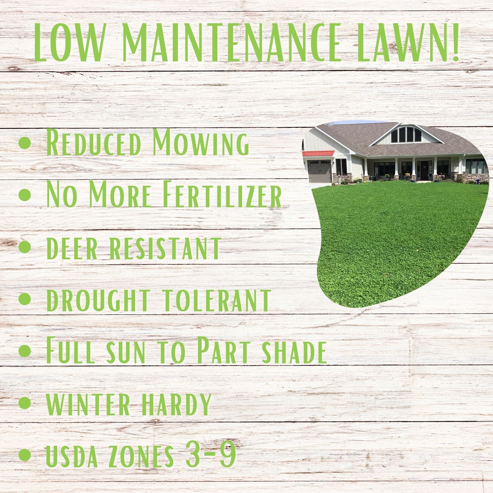 Micro Clover + Mow Less Grass Seed