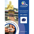 The Gemstone Detective: Buying Gemstones and Jewellery in Sri Lanka - Paperback