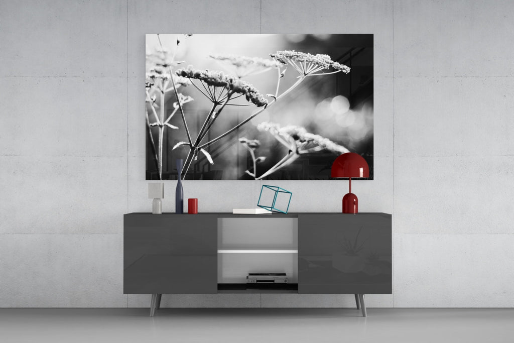 Frosted Wildflower Umbels Glass Wall Art