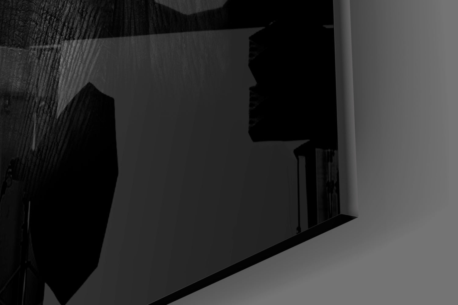 Ear Detail Black and White Elephant Glass Wall Art