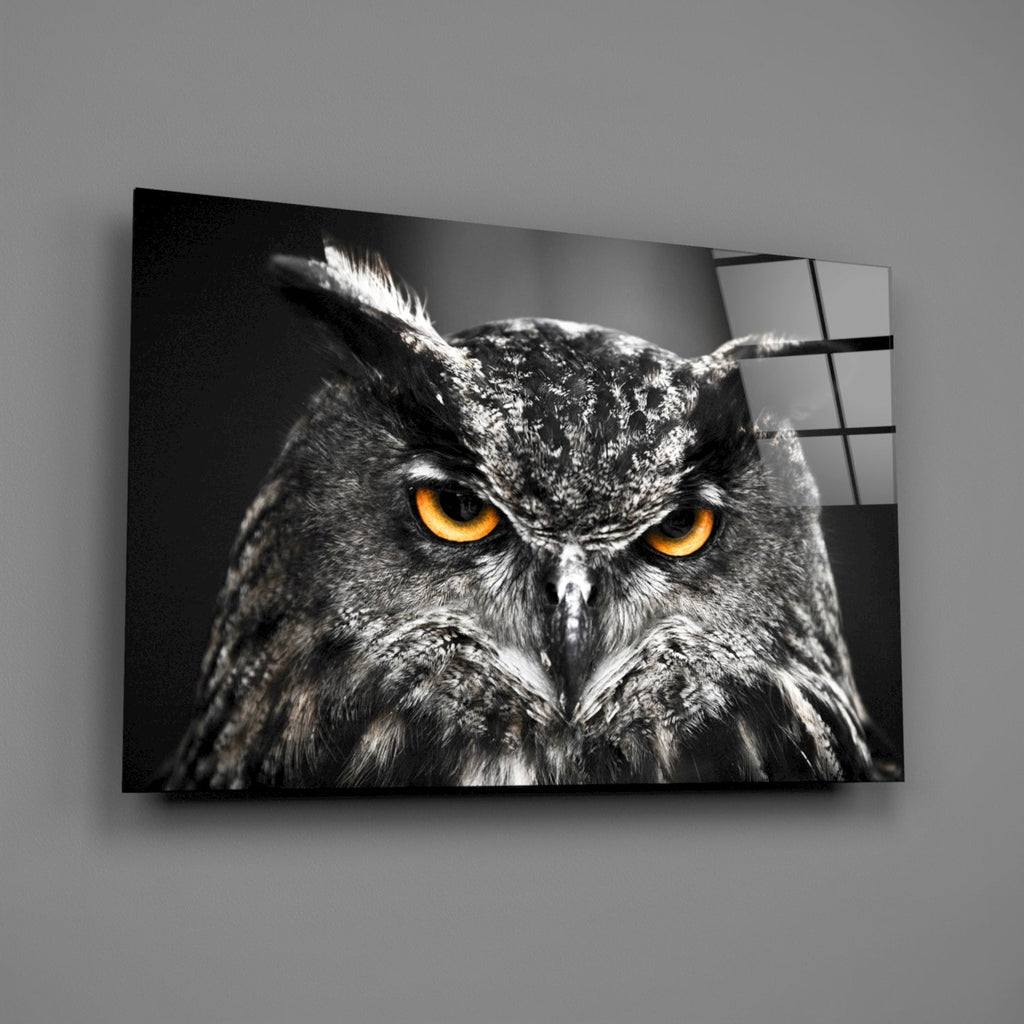 Horned Owl Orange Eyes Glass Wall Art
