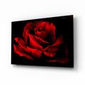 Dark Velvet Red Rose Petals Glass Wall Art