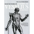The Illustrations from the Works of Andreas Vesalius of Brussels - Paperback