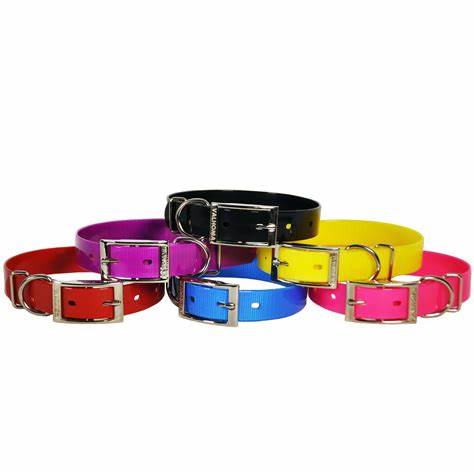 24"TURQUOISE-COLLAR 1 3/4" DOUBLE LAYER
