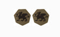 US Army 108th Training Command OCP Patch with Hook Fastener (pair)