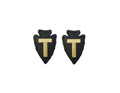 36TH Infantry Division OCP Patch w/Hook Fastener (pair)