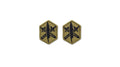 U.S. Army 85th Civil Affairs OCP Patch with Hook Fastener (pair)