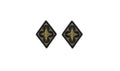 U.S. Army Combined Arms Support Command (CASCOM) OCP Patch with Hook Fastener (pair)
