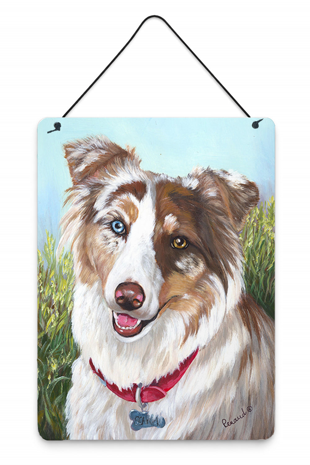 Australian Shepherd Scarlet Wall or Door Hanging Prints Aluminum Metal Sign Kitchen Wall Bar Bathroom Plaque Home Decor Front Door Plaque, 12x16, Multicolor