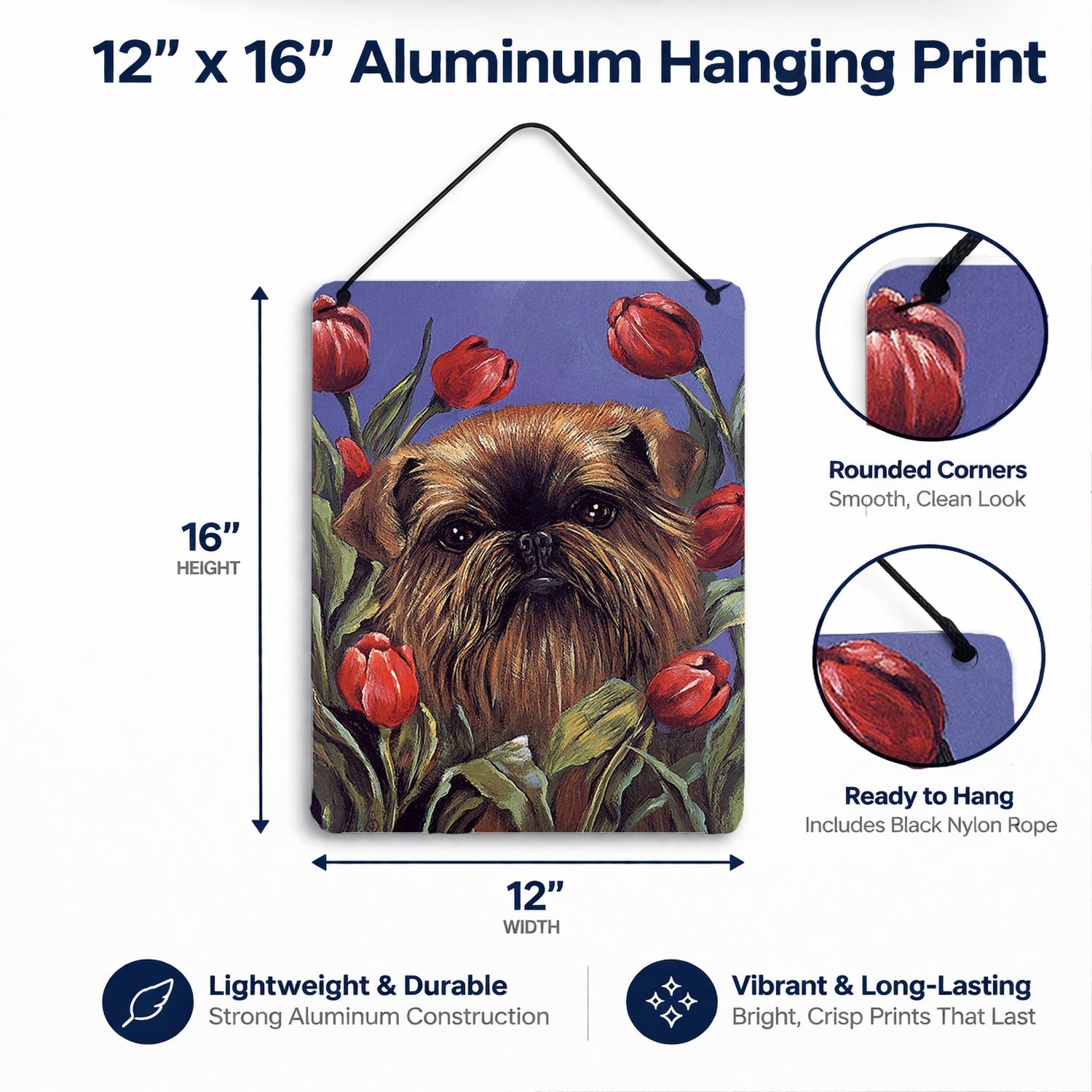 Brussels Griffon Peek a Boo Wall or Door Hanging Prints Aluminum Metal Sign Kitchen Wall Bar Bathroom Plaque Home Decor Front Door Plaque, 12x16, Multicolor