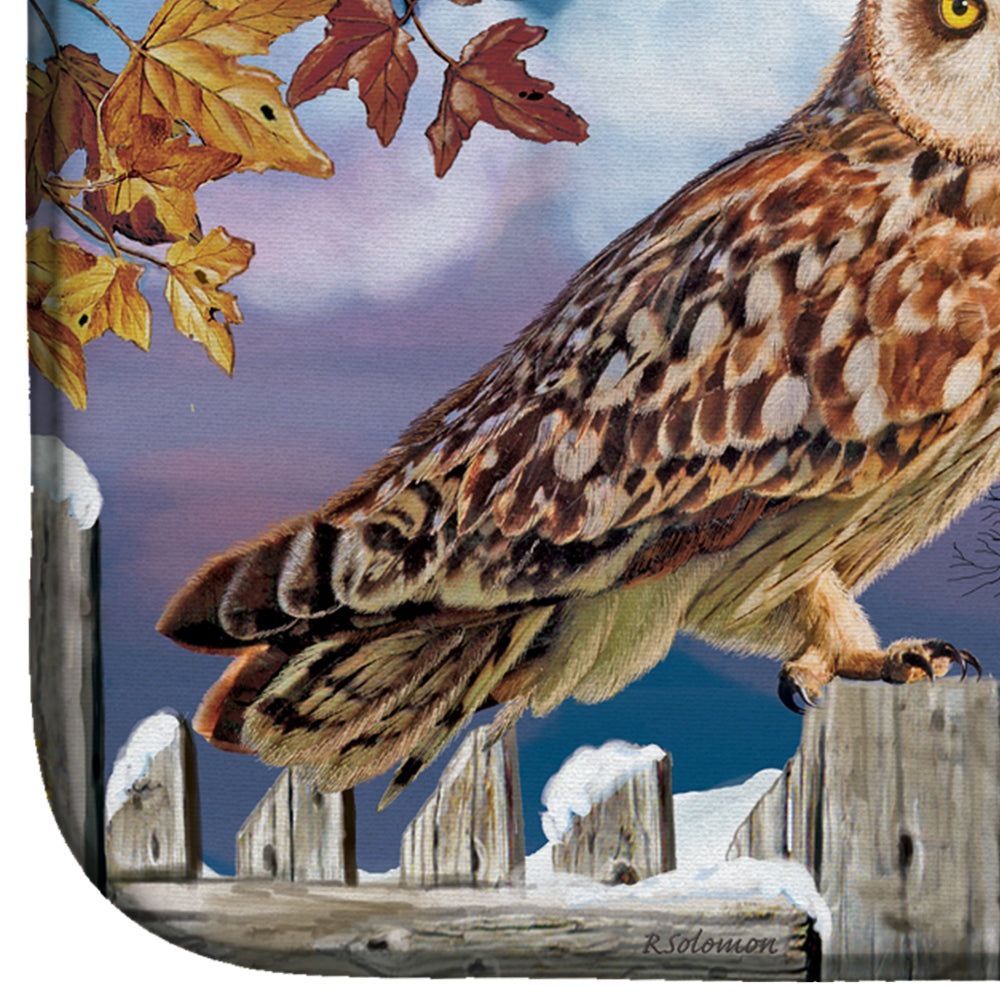 Short-Eared Owl In The Churchyard Dish Drying Mat Absorbent Dish Drying Mat Pad for Kitchen Counter Dish Drainer Mat for Countertop, 14 x 21", Multicolor