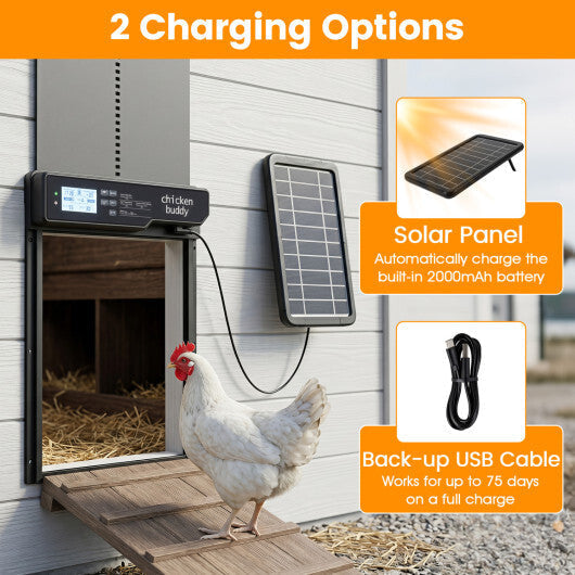 Solar Powered Automatic Chicken Coop Door
