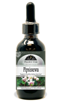 Pipsissewa