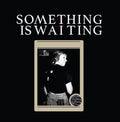 Something Is Waiting – The Something Is Waiting Band Vinyl LP Record