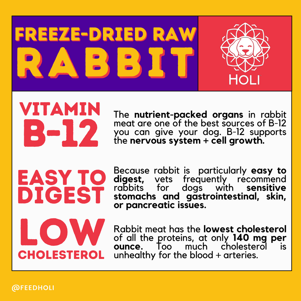 Rabbit Dog Treats - Freeze-Dried - Single Ingredient
