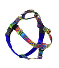 ROY G BIV Freedom No-Pull Dog Harness – EarthStyle