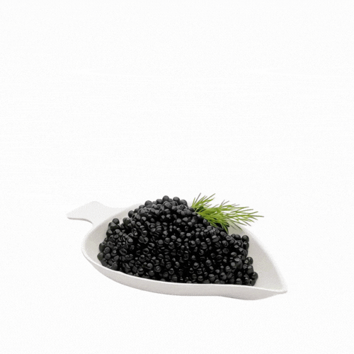 Pulp Tek Leaf White Sugarcane / Bagasse Tasting Dish - 3 3/4" x 2 1/4" - 100 count box