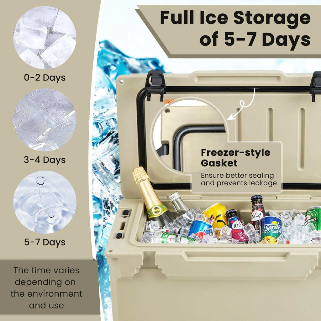 Rotomolded Cooler with Integrated Cup Holders and Bottle Opener