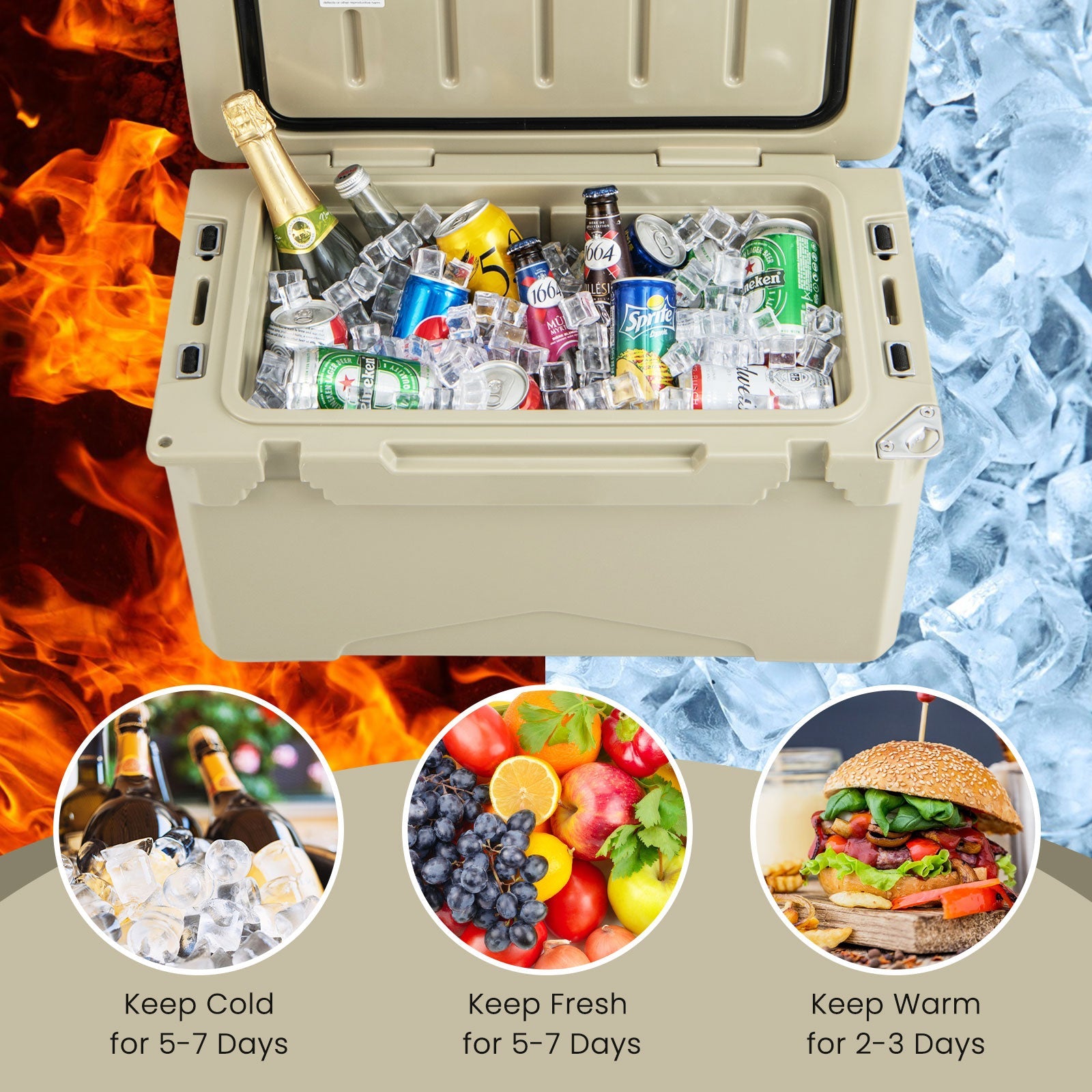 Rotomolded Cooler with Integrated Cup Holders and Bottle Opener